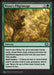 Nissa's Pilgrimage