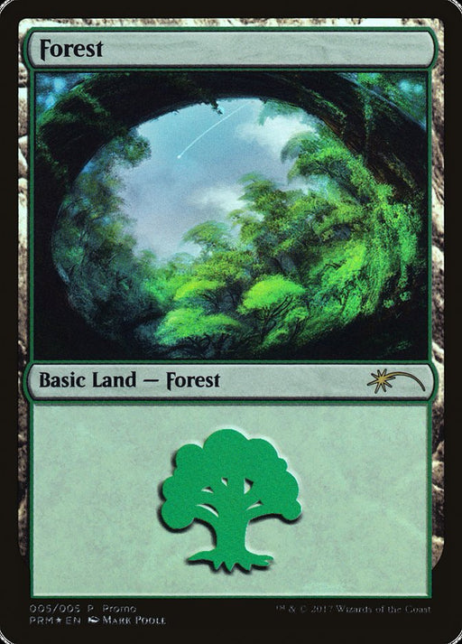 Forest (Foil)