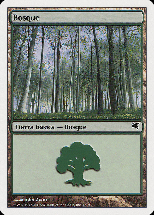 Bosque - Forest
