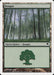 Bosque - Forest