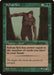 Sylvan Yeti