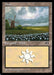 Plains (Foil)