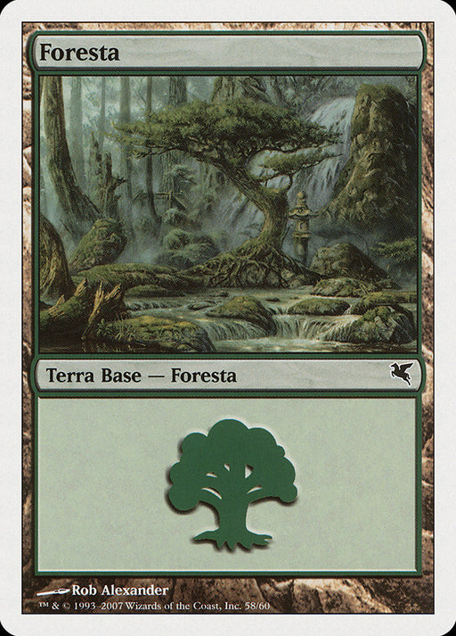 Foresta - Forest