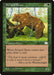 Striped Bears