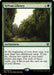 Sylvan Library (Foil)