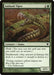 Ambush Viper