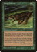 King Cheetah