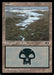 Swamp (Foil)