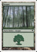 Bosque - Forest