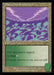 Scattered Groves - Retro Frame