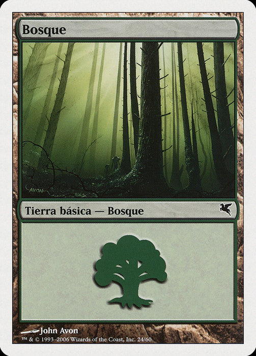 Bosque - Forest