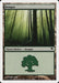 Bosque - Forest