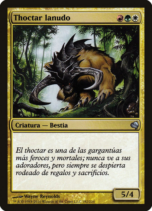 Thoctar lanudo - Woolly Thoctar