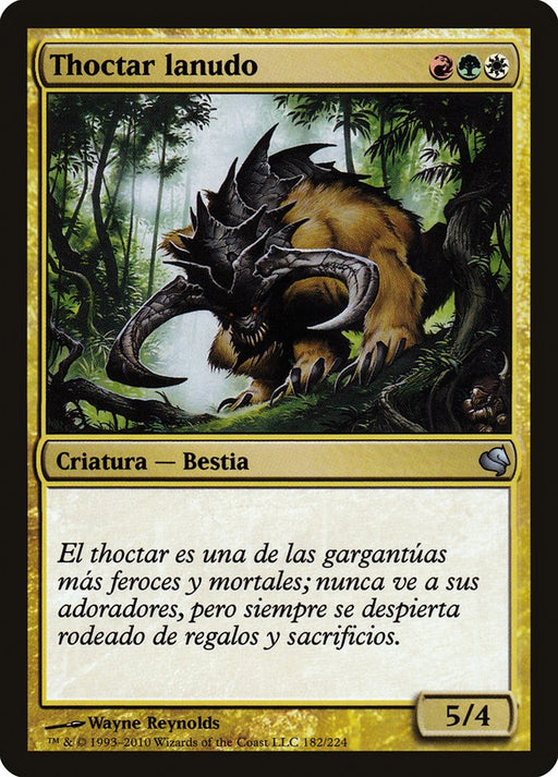 Thoctar lanudo - Woolly Thoctar
