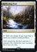 Reflecting Pool (Foil)