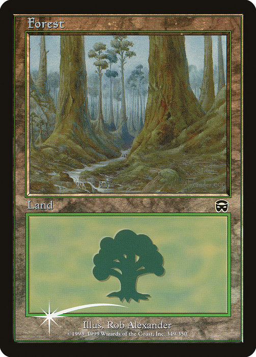 Forest (Foil)