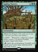 Sapling Nursery - Enchantment