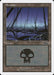 Swamp