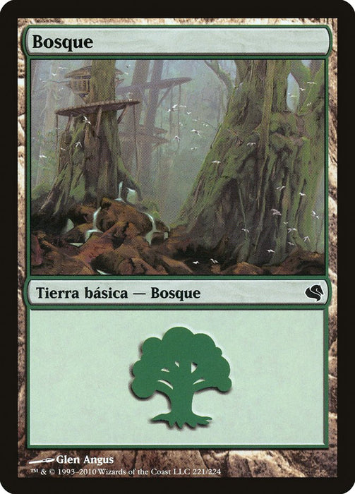 Bosque - Forest