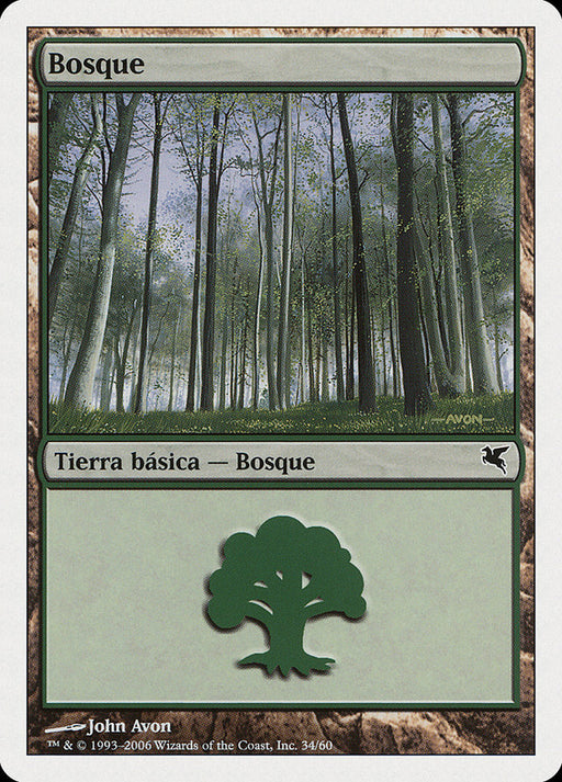 Bosque - Forest