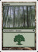 Bosque - Forest