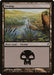 Swamp
