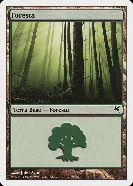 Foresta - Forest