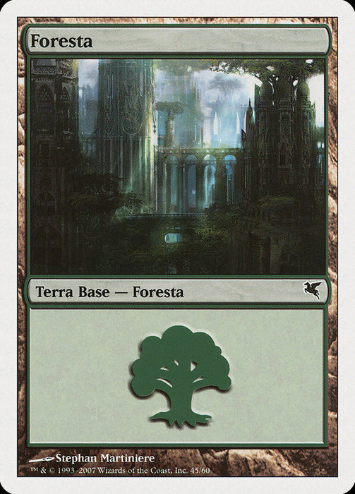 Foresta - Forest