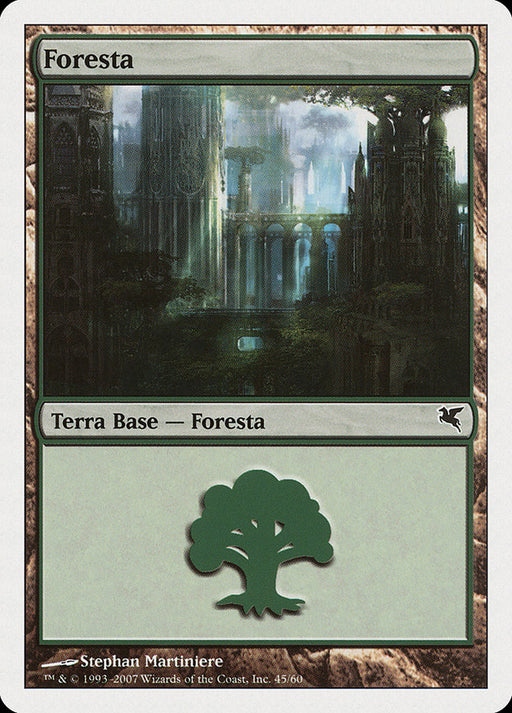 Foresta - Forest
