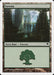 Foresta - Forest