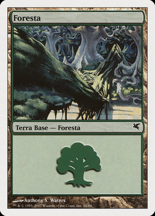 Foresta - Forest