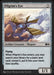Pilgrim's Eye