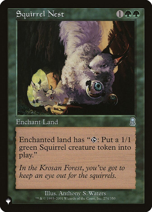 Squirrel Nest - Retro Frame