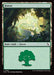 Forest (Foil)