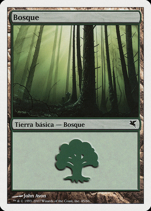Bosque - Forest