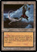 Arena (Foil)