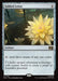Gilded Lotus - Surge Foil