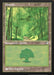 Forest - Retro Frame