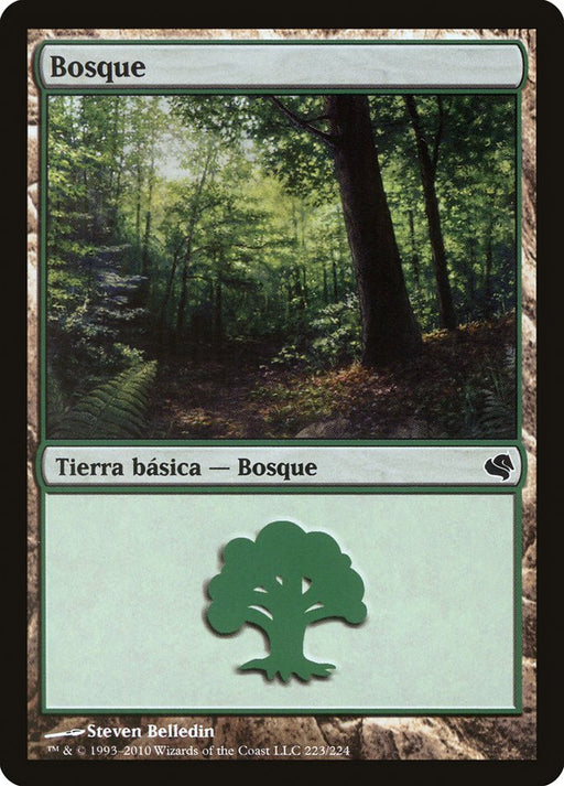Bosque - Forest