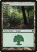Bosque - Forest
