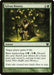 Sylvan Bounty