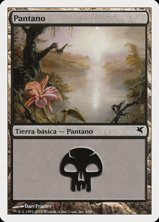 Pantano - Swamp