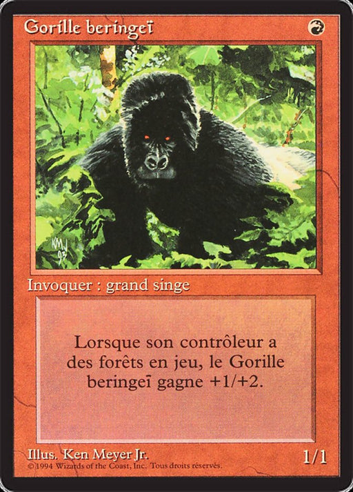 Gorille beringeï - Kird Ape