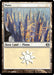 Plains (Foil)