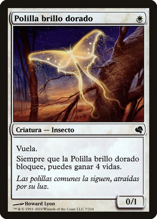 Polilla brillo dorado - Goldenglow Moth