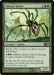 Silklash Spider
