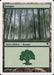 Bosque - Forest