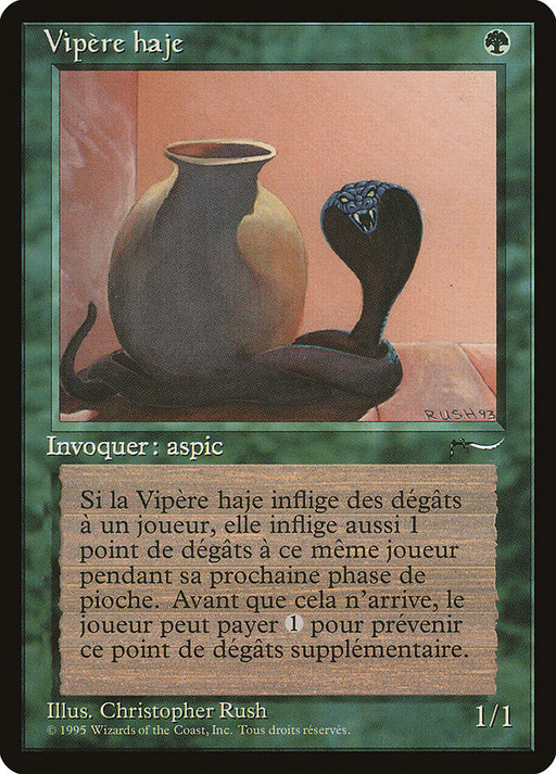 Vipère haje - Nafs Asp