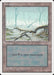 Swamp