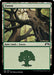 Forest (Foil)